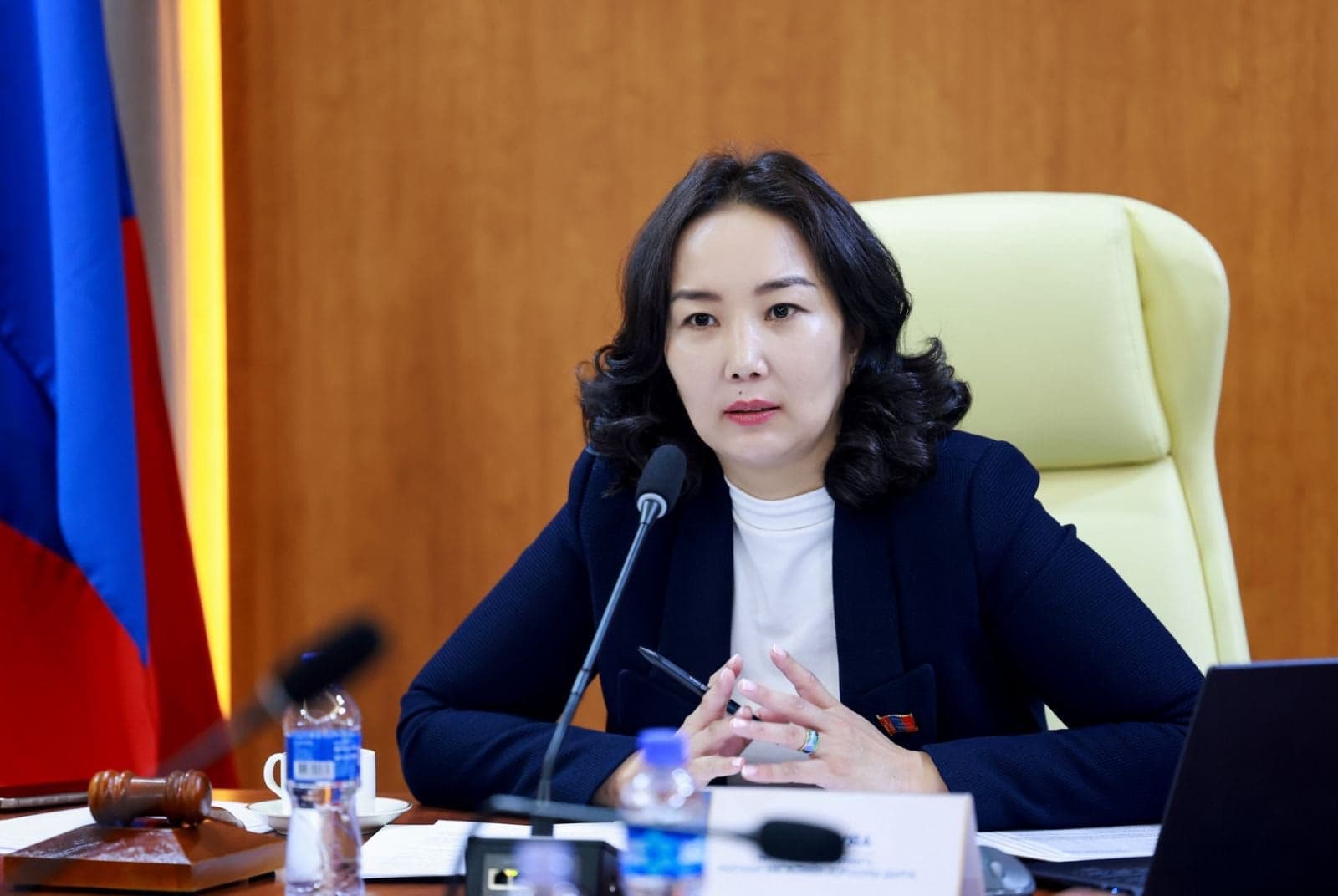 НОГООН ХӨГЖЛИЙН ХОРООНЫ ХУРАЛДААНД ДӨРВӨН УЛИРЛЫН ЦЭЦЭРЛЭГТ ХҮРЭЭЛЭН БАЙГУУЛАХ ТӨСЛИЙГ ТАНИЛЦУУЛЛА