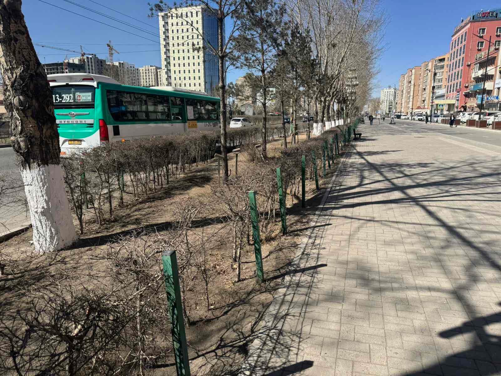 Нийтийн эзэмшлийн зам, талбай, ногоон байгууламжийг арчилж, цэвэрлэж байна