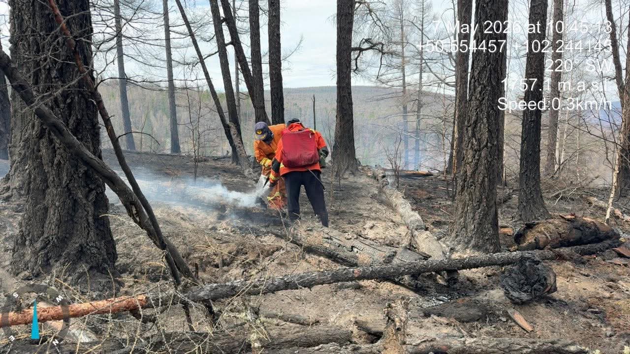 ӨНГӨРӨГЧ 7 ХОНОГТ 8 УДААГИЙН ОЙ, ХЭЭРИЙН ГАЛ ТҮЙМРИЙГ УНТРААЛАА