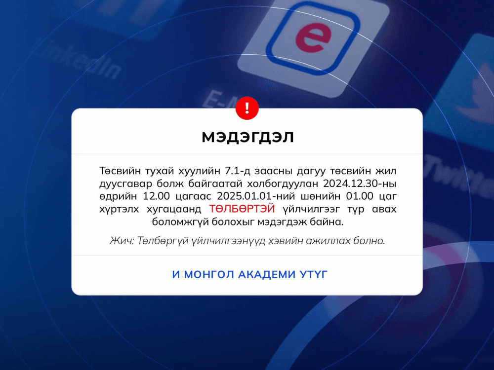 E-Mongolia-ийн төлбөртэй үйлчилгээ түр зогсов