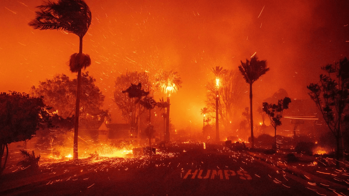 Зураг