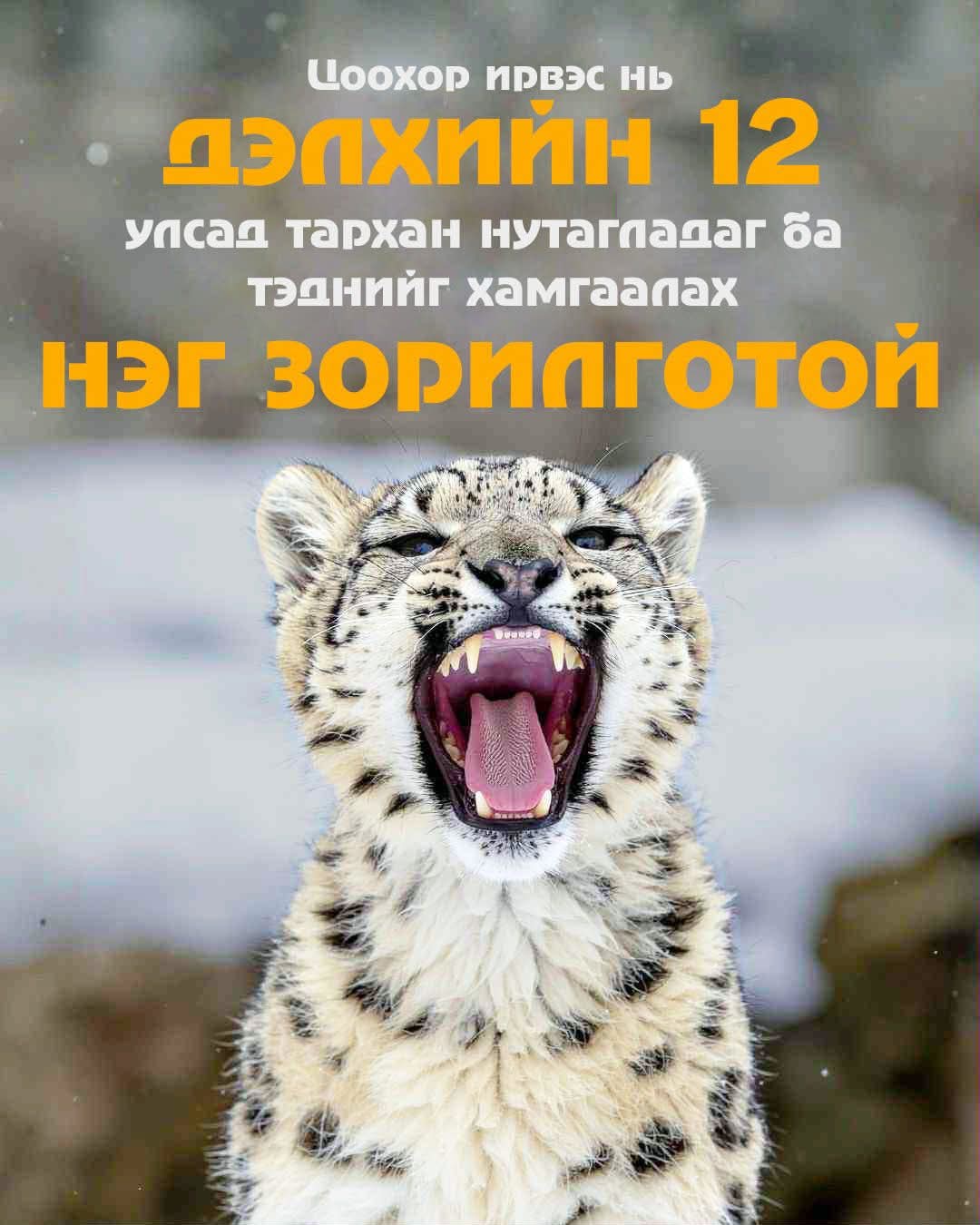 Зураг