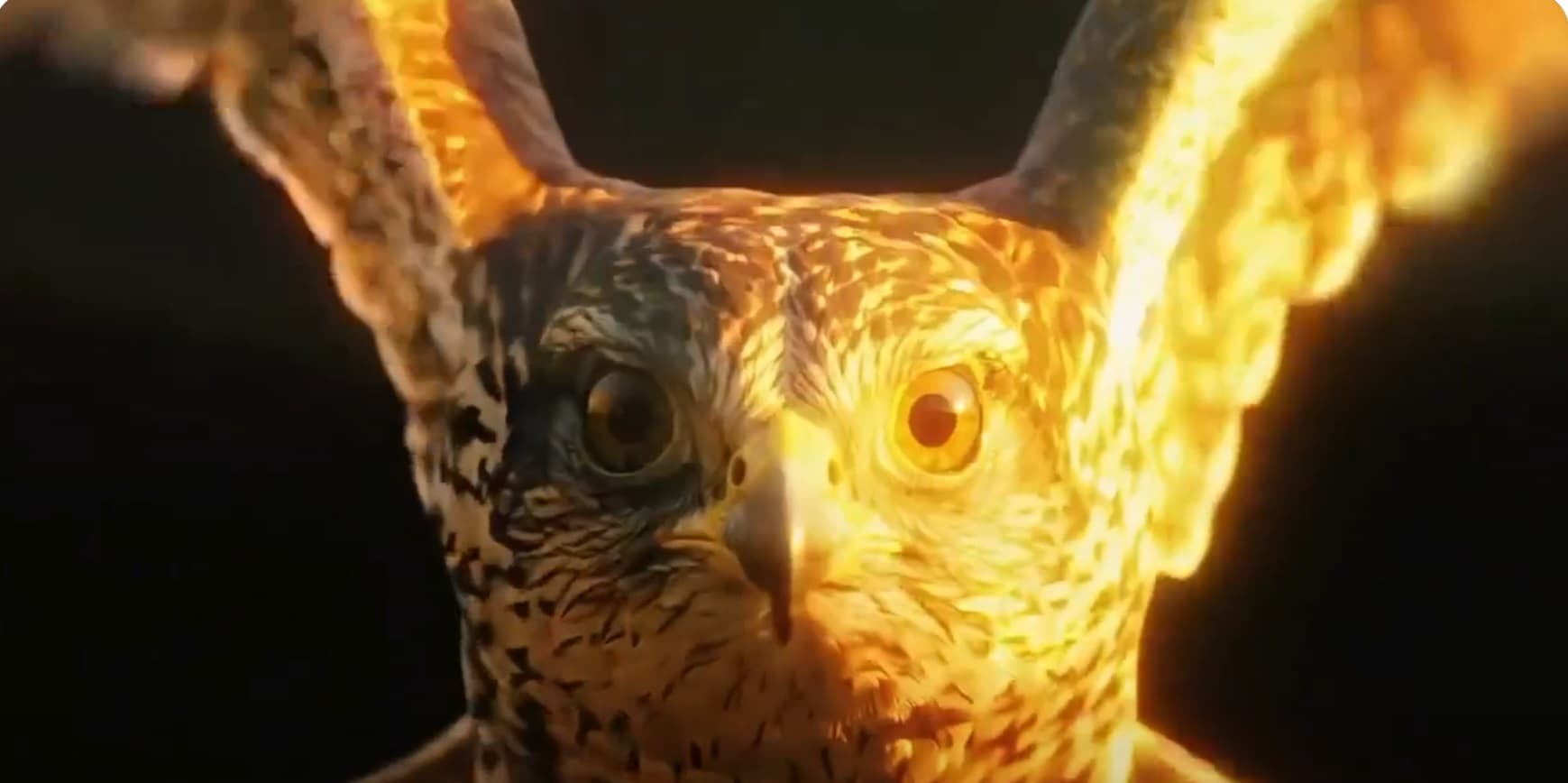  “УЛААНБААТАР 2026” — Боксын насанд хүрэгчдийн Ази тивийн аварга шалгаруулах тэмцээн болно