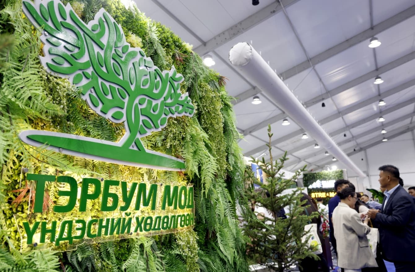 Монголбанкны Тэргүүн дэд Ерөнхийлөгч Э.Анар “ТЭРБУМ МОД” үндэсний хөдөлгөөнөөс зохион байгуулсан COP17-ын салбар хэлэлцүүлэгт оролцлоо
