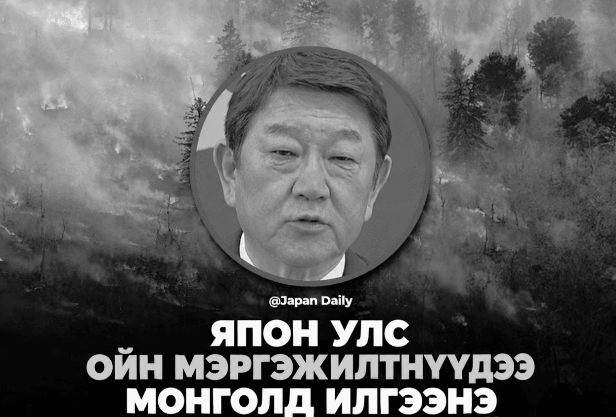 Япон улс түймэрт өртсөн Монголын ой, байгалийг нөхөн сэргээхэд мэргэжилтнүүдээ илгээнэ